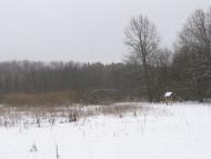 Микільське з panoramio.com