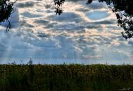 Мала Вільшанка з panoramio.com