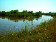 Топільне з panoramio.com