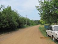 Бузникувате з panoramio.com