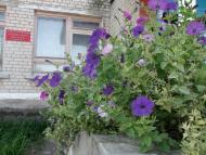 Новоборове - Останні фото