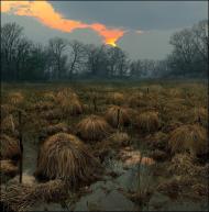 Смолянинове з panoramio.com