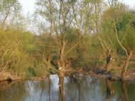 Сівка-Войнилівська з panoramio.com