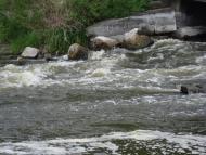 Острів з panoramio.com