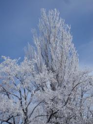 Усатове з panoramio.com