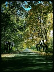 Велика Омеляна з panoramio.com