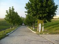 Орільське з panoramio.com