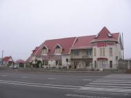Панкратове з panoramio.com