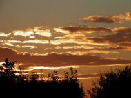 Плотича з panoramio.com