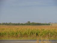 Підзамче з panoramio.com