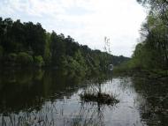 Стрижавка з panoramio.com