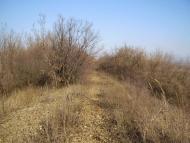 Весняне з panoramio.com
