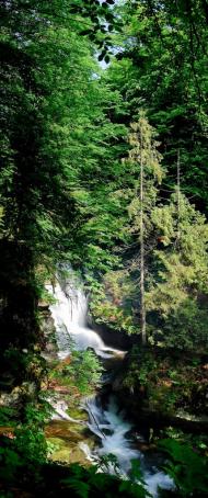 Полянська Гута з panoramio.com