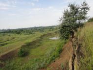 Заїки з panoramio.com