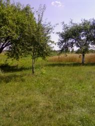 Дубечне з panoramio.com