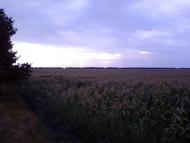 Мілова Балка з panoramio.com