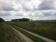 Березанка з panoramio.com