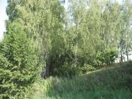 Нова з panoramio.com