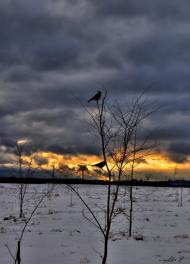 Вільна Слобода з panoramio.com