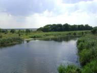 Комар з panoramio.com