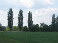 Семенівка з panoramio.com