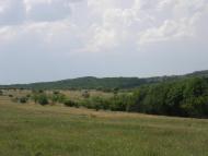Айдар-Миколаївка з panoramio.com