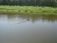 Крехаїв з panoramio.com