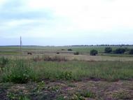 Мілова Балка з panoramio.com