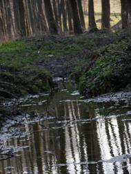 Голенищеве з panoramio.com