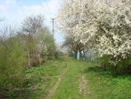 Миколаїв з panoramio.com