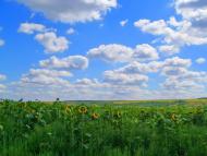 Зброшкове - Останні фото