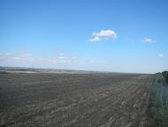 Дніпровка з panoramio.com