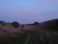 Сад з panoramio.com