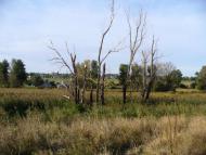 Косяківка з panoramio.com