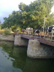 Андрушки з panoramio.com