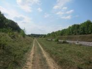 Селевинці з panoramio.com - Селевинці