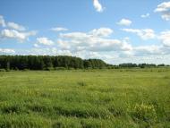 Рудка з panoramio.com