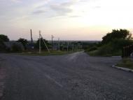 Комар з panoramio.com