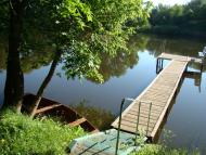 Берізка з panoramio.com