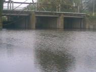 Веселий Кут з panoramio.com