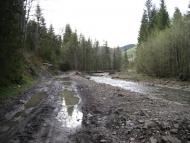 Нижній Яловець з panoramio.com