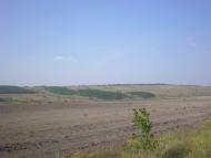 Липове з panoramio.com