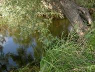 Кукулівка з panoramio.com