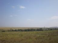 Радісне з panoramio.com