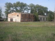 Камка - Останні фото