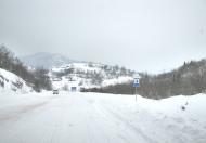 Явора - Останні фото