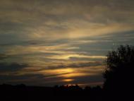 Грибенинка з panoramio.com