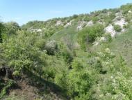 Айдар-Миколаївка з panoramio.com