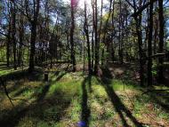 Твердомедове - Останні фото