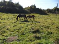 Більче з panoramio.com